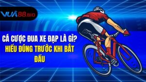 Cá Cược Đua Xe Đạp – Chia Sẻ Kinh Nghiệm Hiệu Quả Nhất