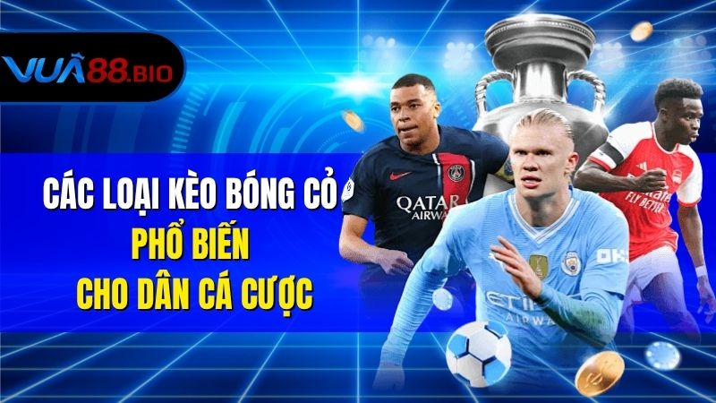 Kèo Bóng Cỏ Là Gì? Hướng Dẫn Chơi Đặt Kèo Hiệu Quả Các Loại Kèo Bóng Cỏ Phổ Biến Cho Dân Cá Cược