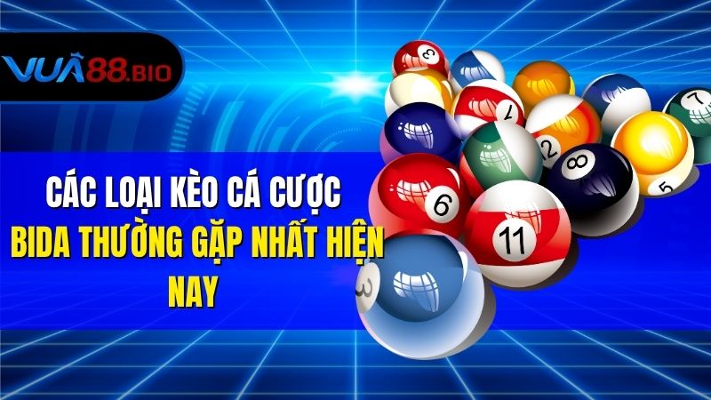 Các Loại Kèo Cá Cược Bida Thường Gặp Nhất Hiện Nay