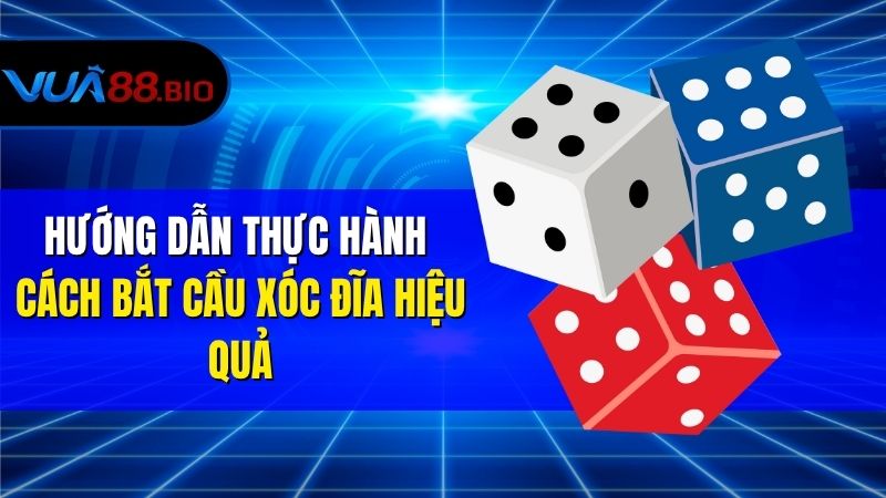 Cách Bắt Cầu Xóc Đĩa – Bí Kíp Đọc Cầu Tăng Tỷ Lệ Thắng Hướng Dẫn Thực Hành Cách Bắt Cầu Xóc Đĩa Hiệu Quả