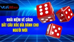 Khái Niệm Về Cách Bắt Cầu Xóc Đĩa Dành Cho Người Mới