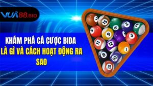 Khám Phá Cá Cược Bida Là Gì Và Cách Hoạt Động Ra Sao