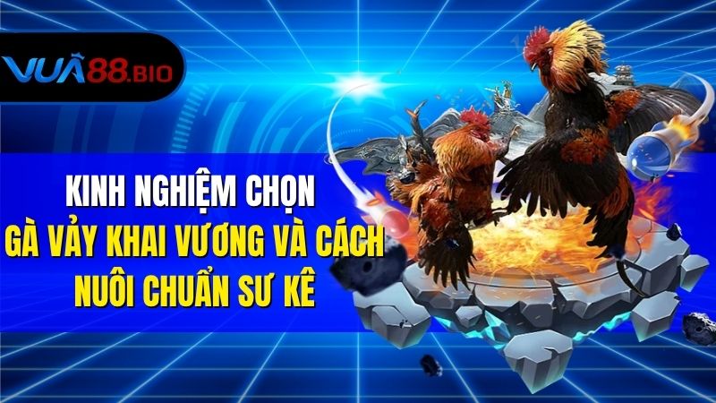 Vảy Gà Khai - Cách Nhận Biết Và Bí Kíp Nuôi Dưỡng Chuẩn Kinh Nghiệm Chọn Gà Vảy Khai Vương Và Cách Nuôi Chuẩn Sư Kê