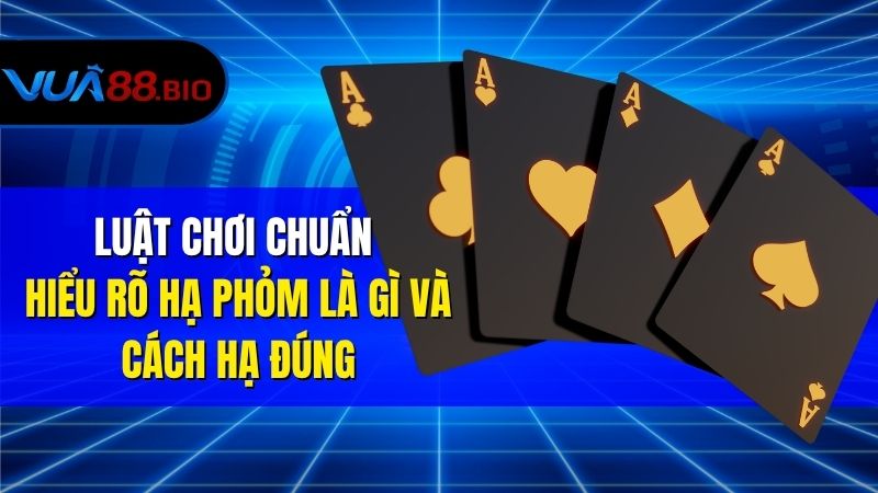 Hạ Phỏm Là Gì? Khám Phá Toàn Tập Từ Cơ Bản Đến Nâng Cao Luật Chơi Chuẩn – Hiểu Rõ Hạ Phỏm Là Gì Và Cách Hạ Đúng
