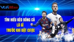 Tìm Hiểu Kèo Bóng Cỏ Là Gì Trước Khi Đặt Cược