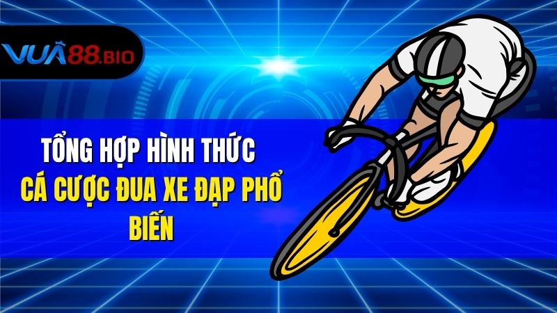 Cá Cược Đua Xe Đạp – Kinh Nghiệm Cho Người Mới Bắt Đầu Tổng Hợp Hình Thức Cá Cược Đua Xe Đạp Phổ Biến